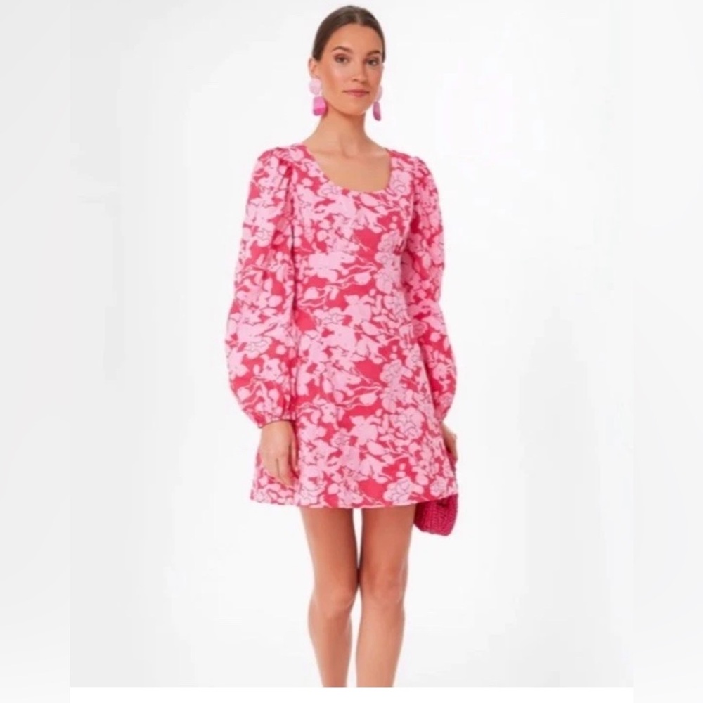 Tuckernuck Hyacinth House Sienna mini Floral Pink Dress XS